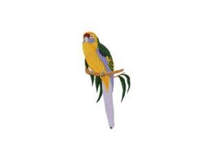 Green Rosella: A Designer’s Review for Boutique Apparel