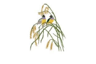 Painted Finch: A Seasonal Embroidery Designer's Review